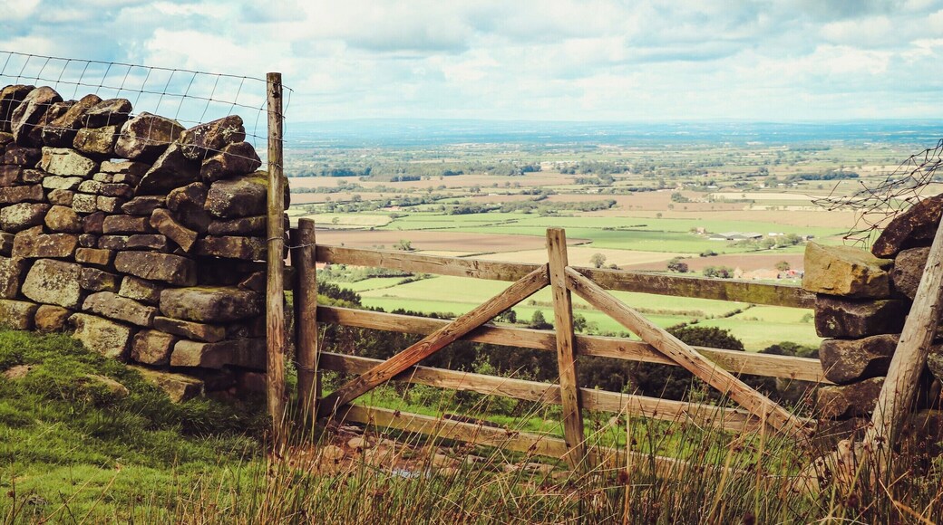 Looking across the vale