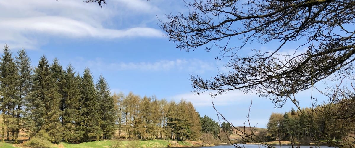 A beautiful day out at COD Beck Reservoir, some great walks from here into Osmotherly.
There is some free parking at Sheep Wash just a little further past the reservoir. There is a campsite and YHA close by as well