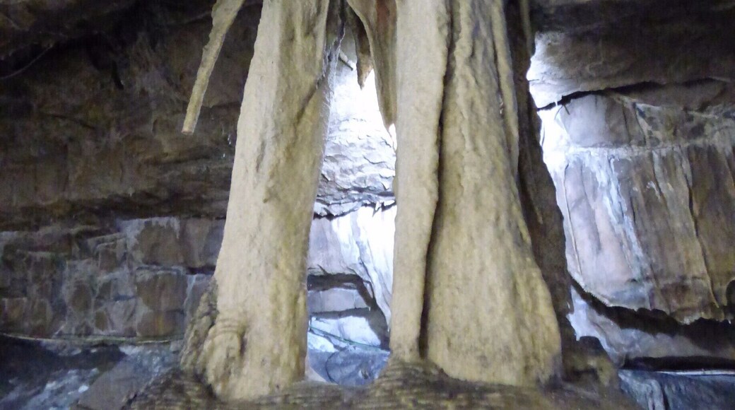 Stalactite formation inside Ingleborough Cave , just outside of Clapham in Yorkshire. This is fondly known as 'The Elephant'. Can you see the resemblance? :) There's an interesting guided tour you can do through the cave and lots more formations to see. . You can even take the dog!