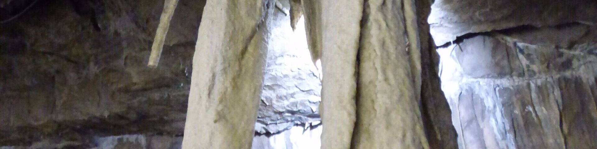 Stalactite formation inside Ingleborough Cave , just outside of Clapham in Yorkshire. This is fondly known as 'The Elephant'. Can you see the resemblance? :) There's an interesting guided tour you can do through the cave and lots more formations to see. . You can even take the dog!