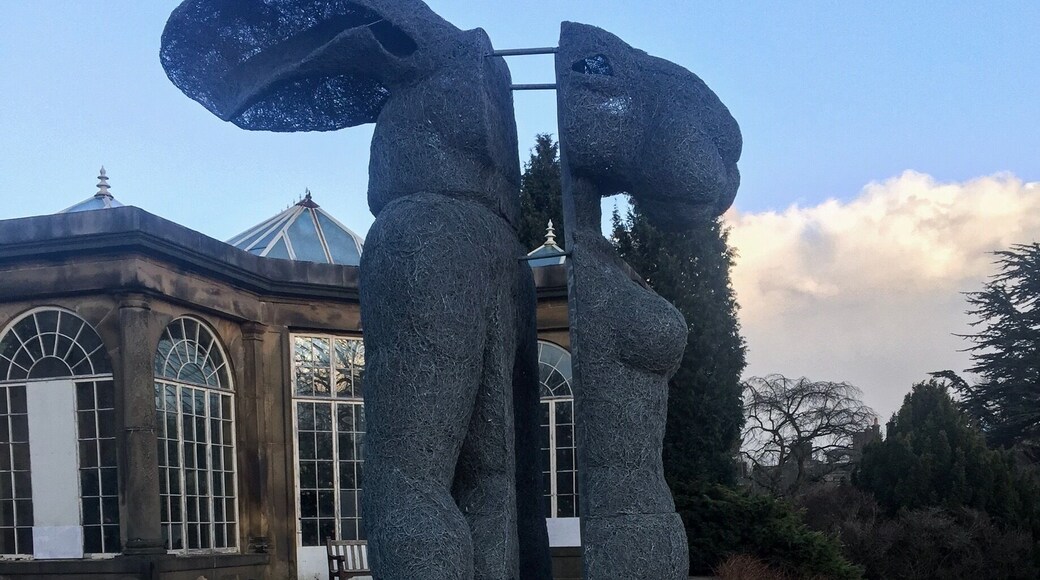 Sophie Ryder: Sitting. Taken early evening.