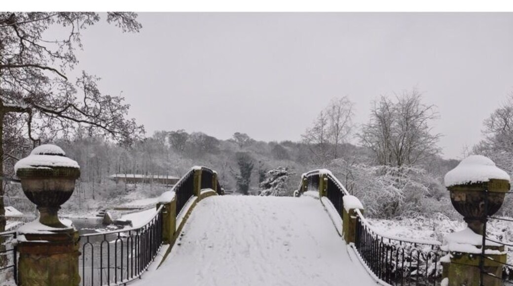 The bridge heading towards the Lower Lake at the Yorkshire Sculpture Park.