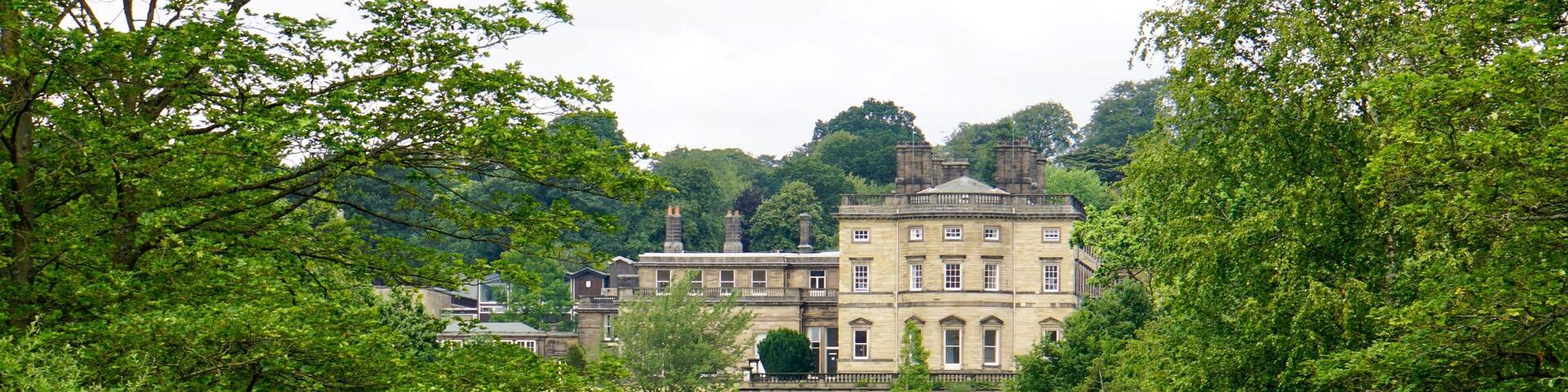 At the Yorkshire Sculpture Park, nr West Bretton, Yorkshire, UK (Jul 2019).
