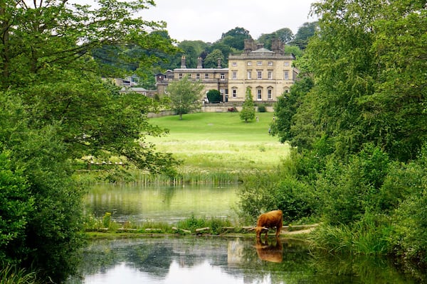 At the Yorkshire Sculpture Park, nr West Bretton, Yorkshire, UK (Jul 2019).