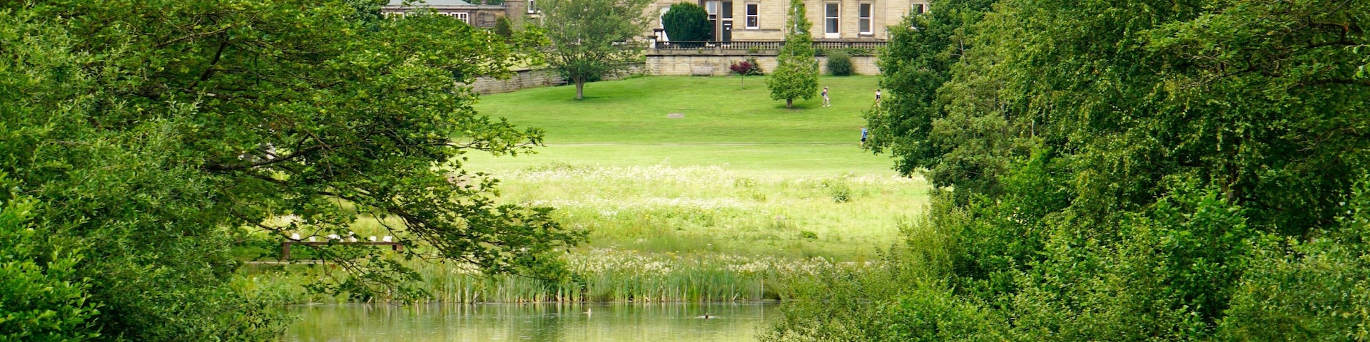 At the Yorkshire Sculpture Park, nr West Bretton, Yorkshire, UK (Jul 2019).