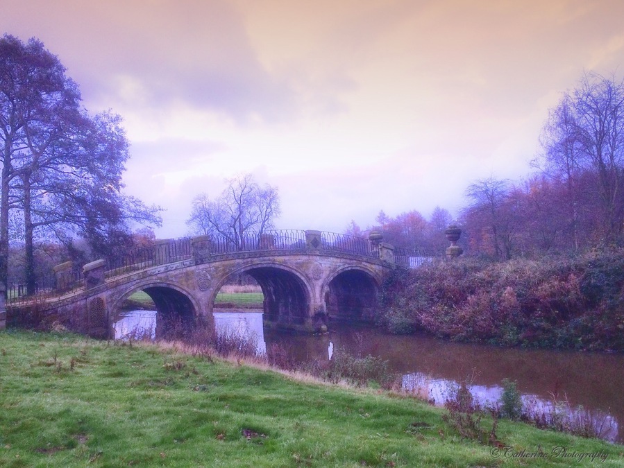 A day hiking at the park looking and searching beautiful sculptures around the park. A beautiful river to enjoy the peace and serene atmosphere, a dreamy and mystic for a weekend getaway from busy city life style #river #nature#England #hiking #nationalpark #water