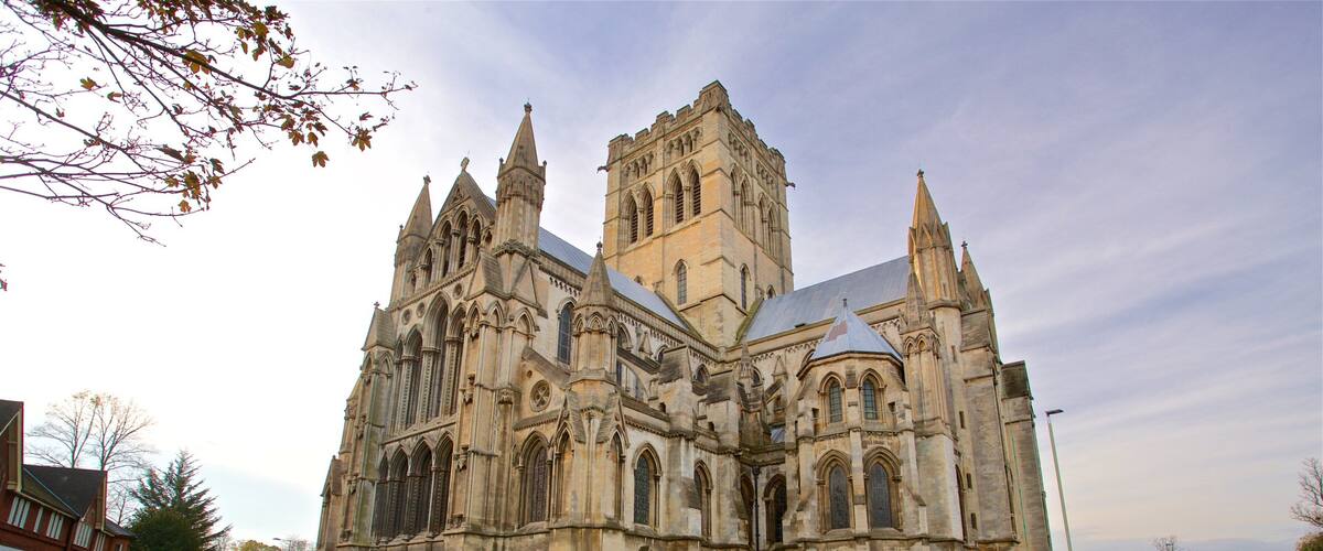 Catedral de São João Batista caracterizando uma igreja ou catedral e arquitetura de patrimônio