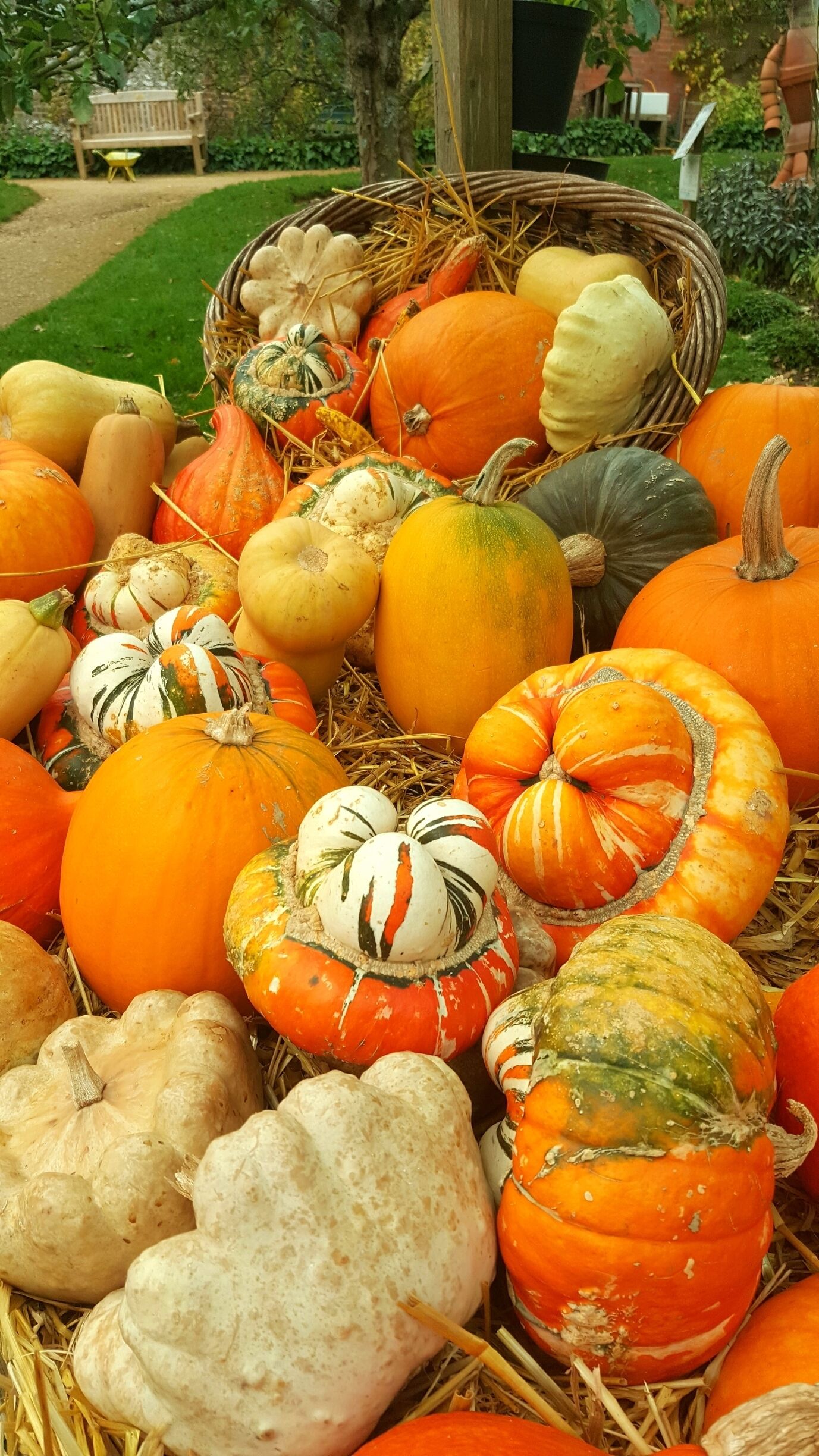 Autumn is officially here !
A National Trust house surrounded by woodlands. Home to Benjamin Disraeli from 1848 - 1881, then taken over by the Air Ministry as a top secret map-making base during the Second World War.  Great informative guides in all of the rooms. Very friendly & knowledgeable. Well worth a visit.