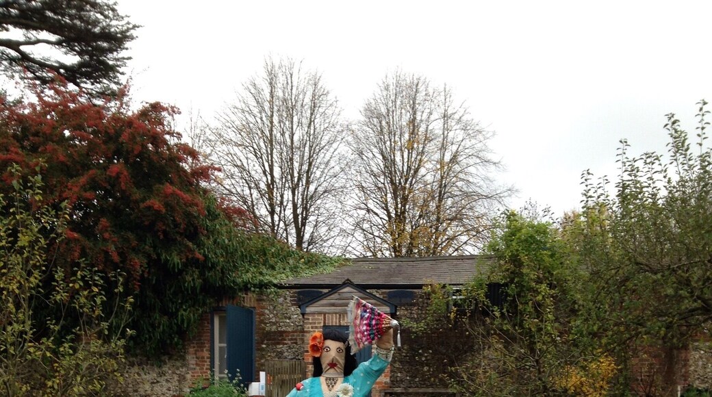 Now that's a scarecrow ,,flamenco style.