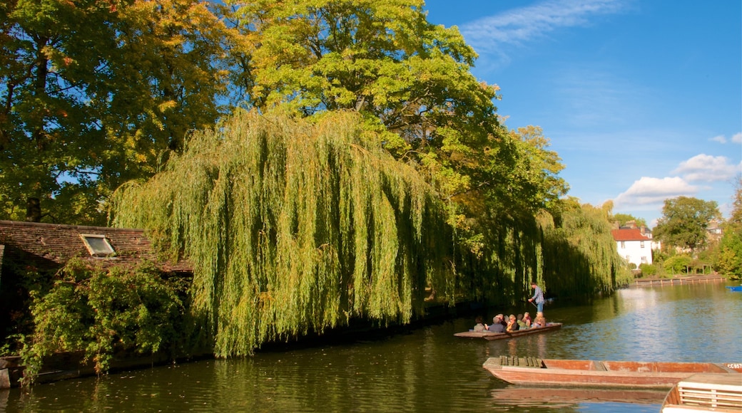 The River Cam showing a river or creek and kayaking or canoeing as well as a small group of people