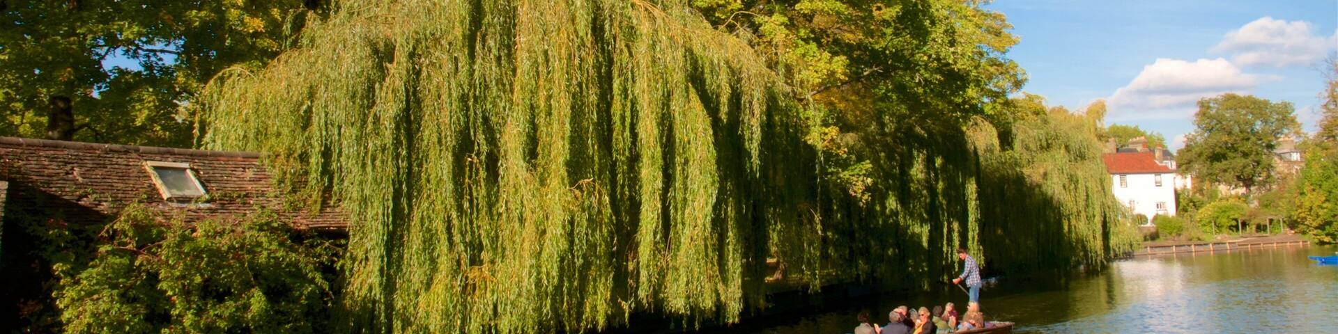 A weeping willow tree by a river, boats, and a white building with a red roof.