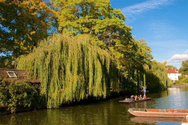 Un saule pleureur au bord d’une rivière, des bateaux et un bâtiment blanc avec un toit rouge.