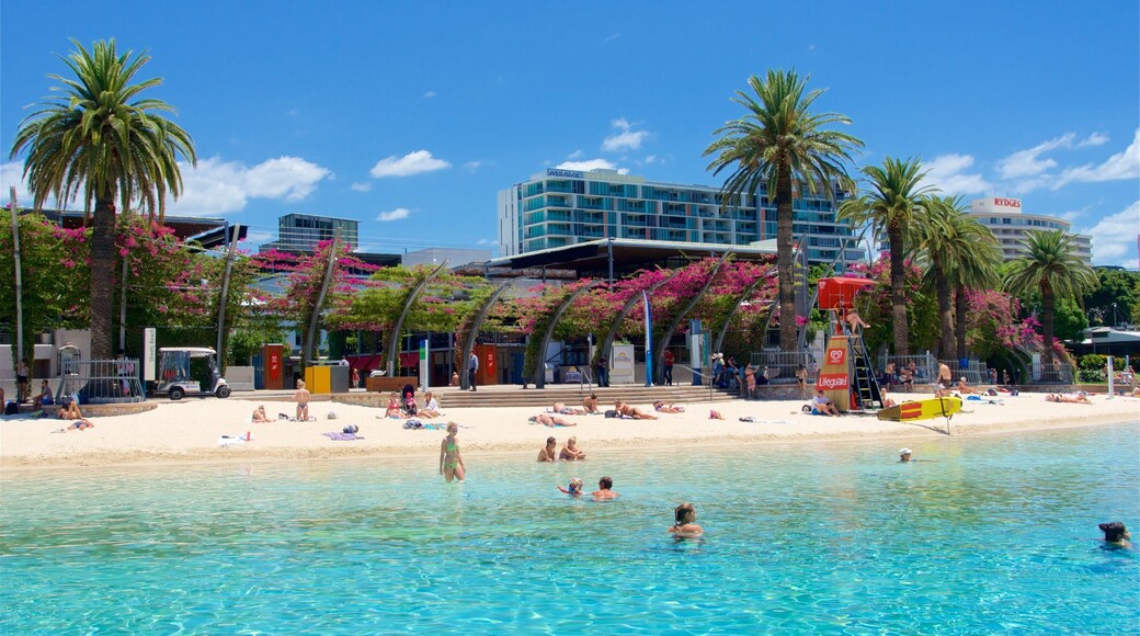 Southbank Parklands showing swimming, a beach and wild flowers