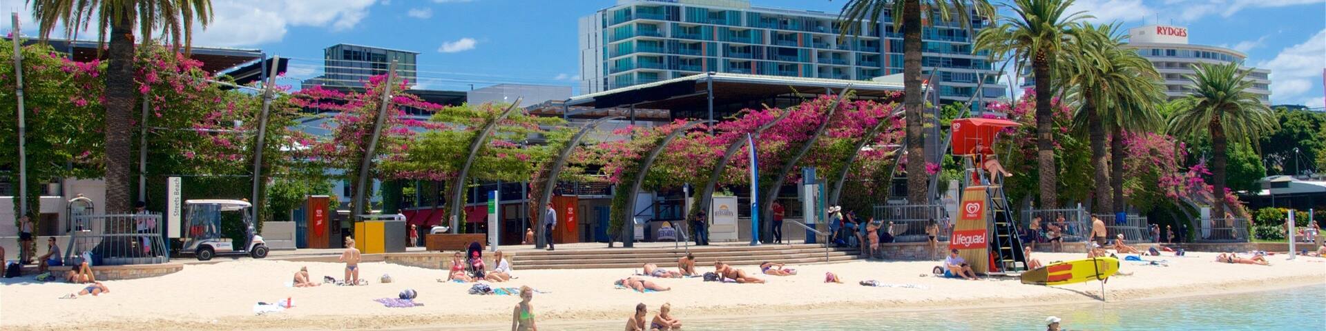 Southbank Parklands which includes a sandy beach, general coastal views and wildflowers