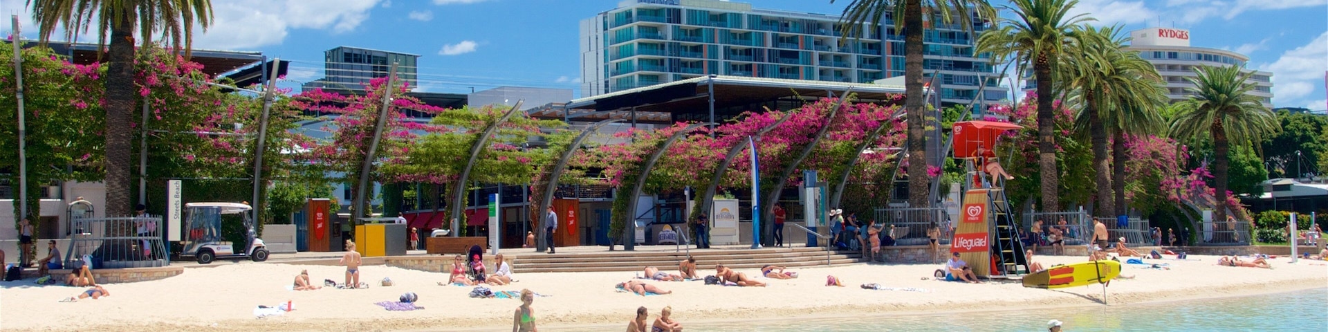 Southbank Parklands which includes a sandy beach, general coastal views and wildflowers