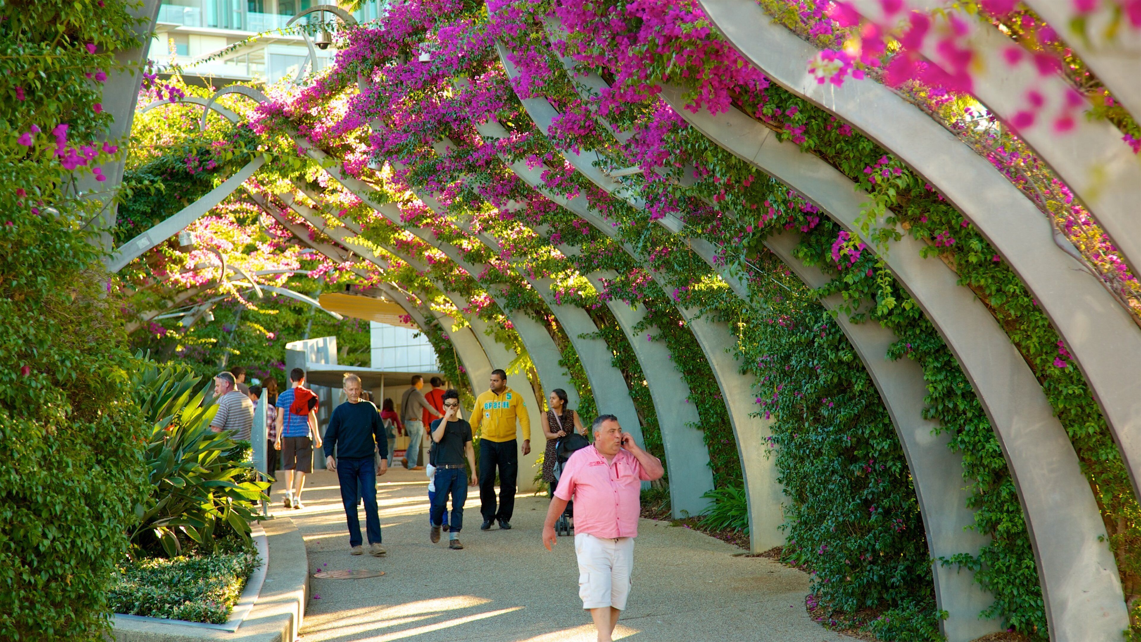 Southbank Parklands featuring wildflowers and a park as well as a small group of people