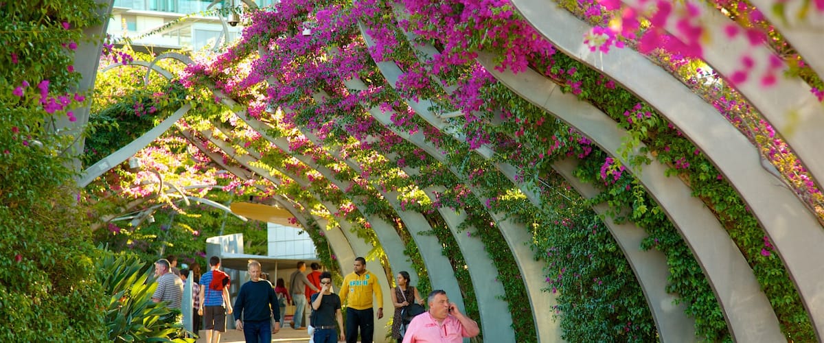Southbank Parklands mostrando fiori di campo e parco cosi come un piccolo gruppo di persone