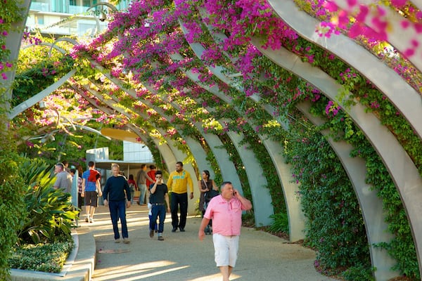 Southbank Parklands showing wild flowers and a garden as well as a small group of people