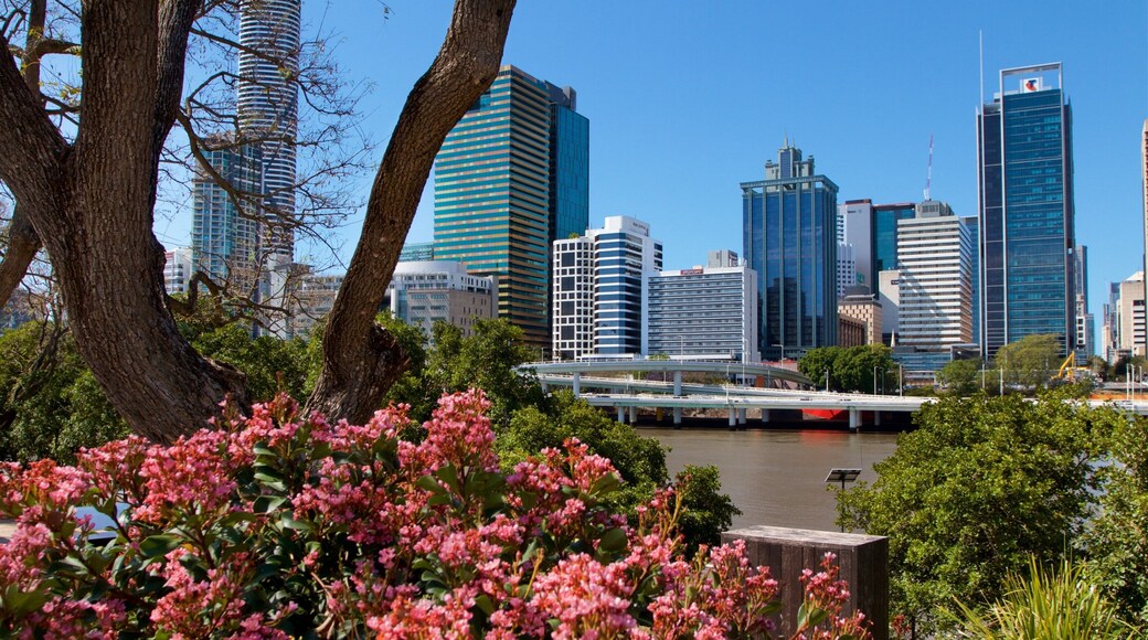 Southbank Parklands which includes flowers, a city and a river or creek