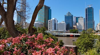 South Bank que inclui flores, uma cidade e um rio ou cĂłrrego
