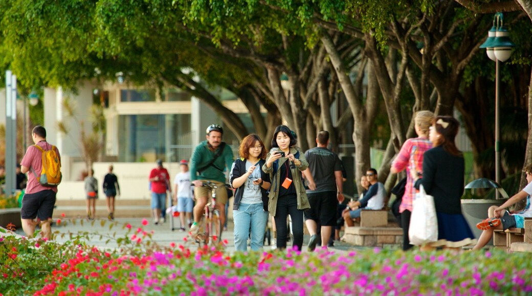 Southbank Parklands which includes a garden and wildflowers as well as a small group of people