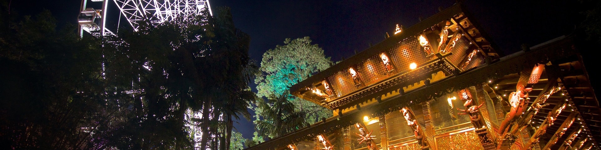 Southbank Parklands which includes modern architecture, night scenes and a temple or place of worship