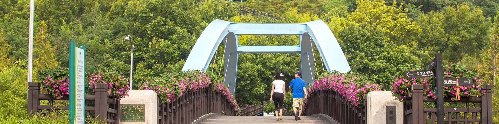Haneul park in the summer in Seoul, South Korea.