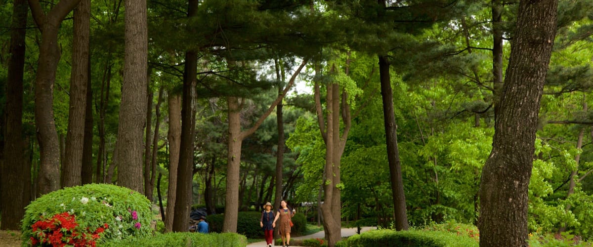 ๋จ์ฐ์๋ฌผ์ ์ ํน์ง ์ผ์ํ ๊ณผ ๊ณต์ ๋ฟ๋ง ์๋๋ผ ์ปคํ