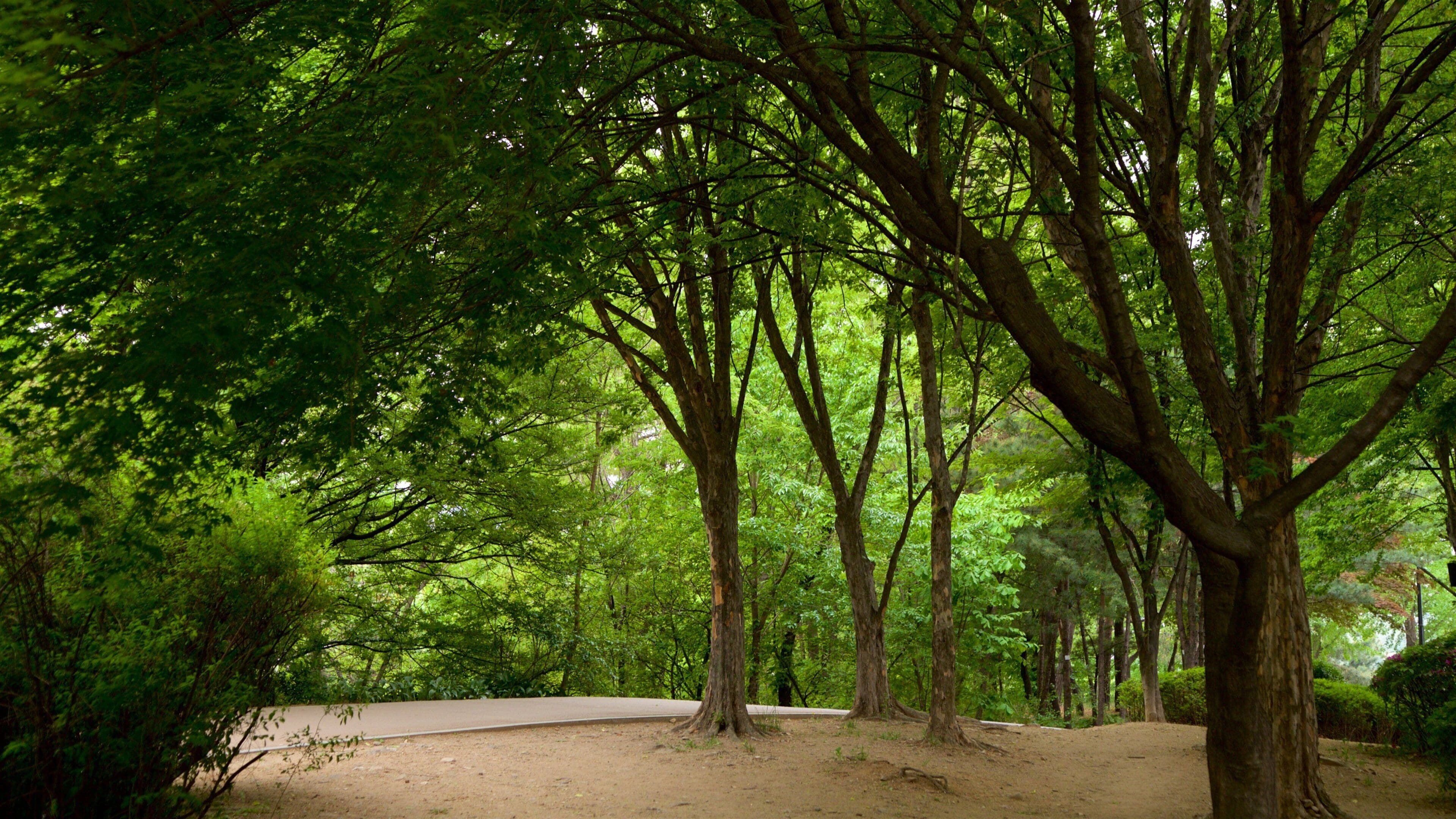 Botanischer Garten Namsan mit einem Garten