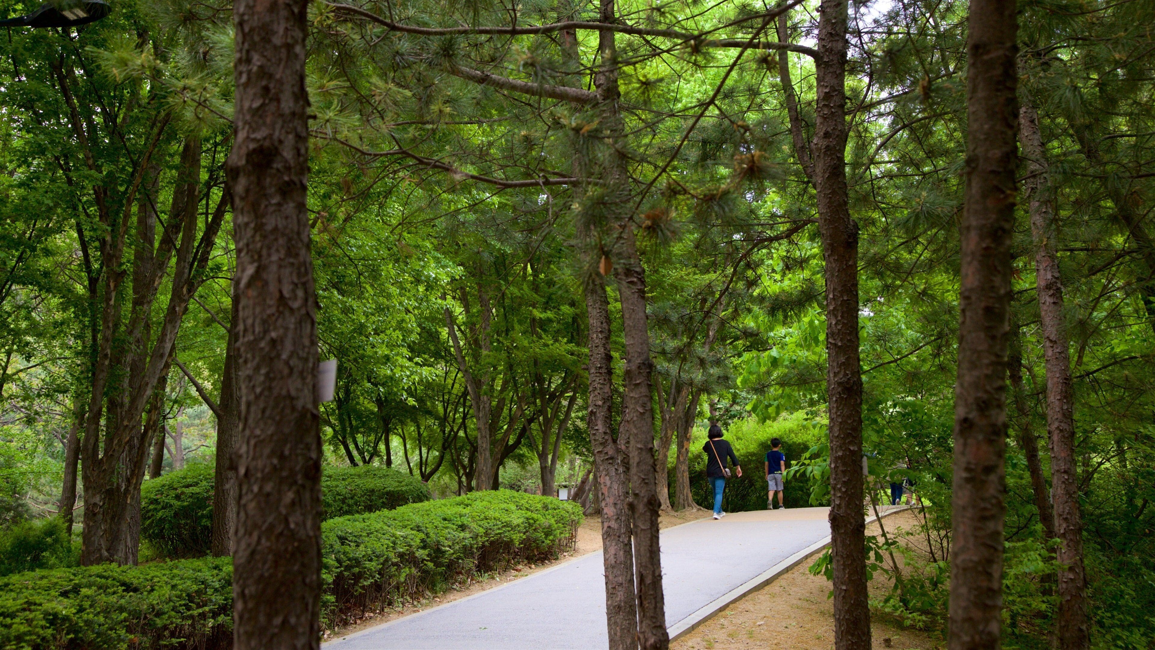 Jardin botanique de Namsan