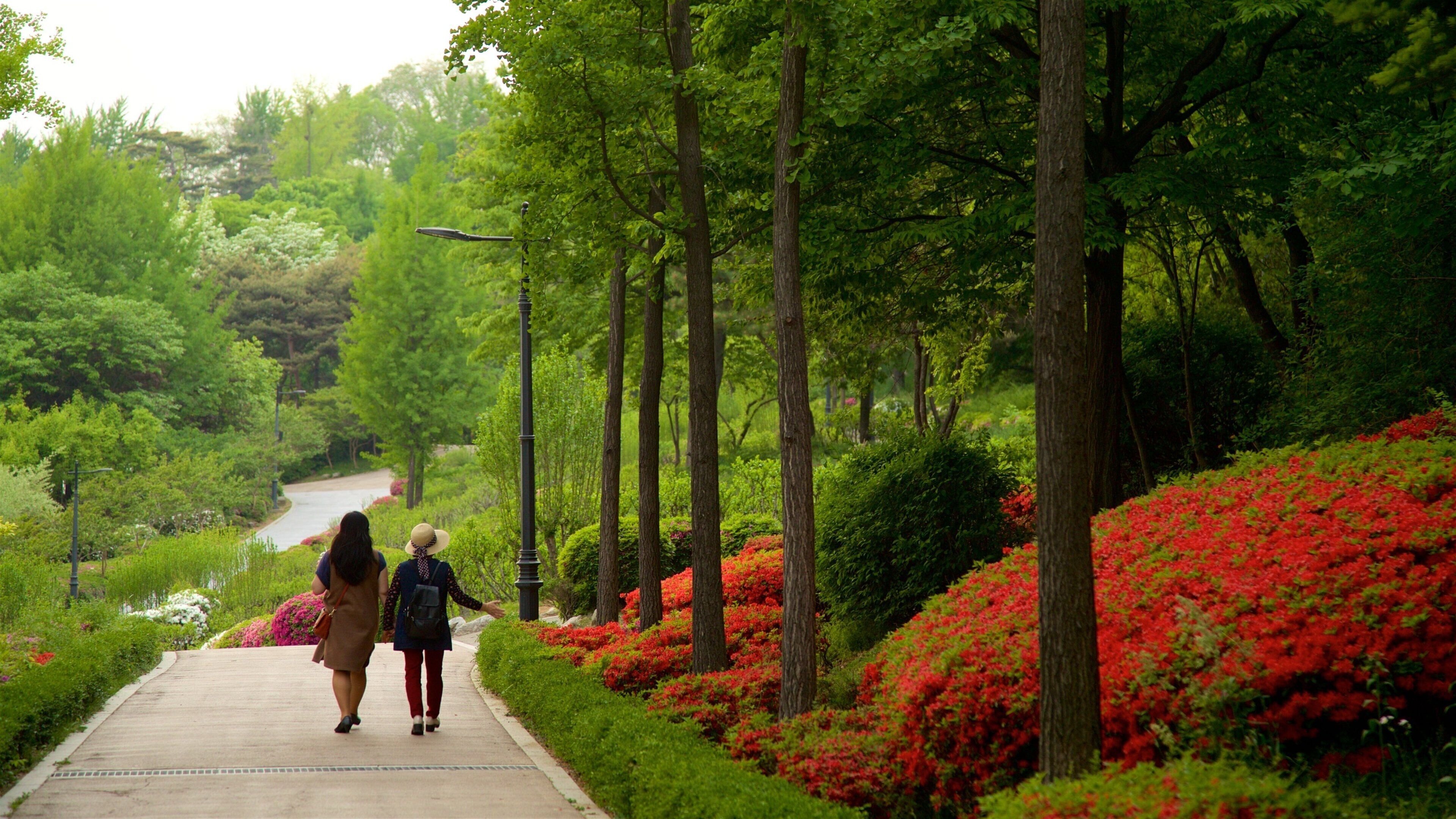 Namsan Botanical Garden showing a park and wildflowers as well as a couple
