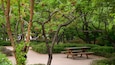 Namsan Botanical Garden