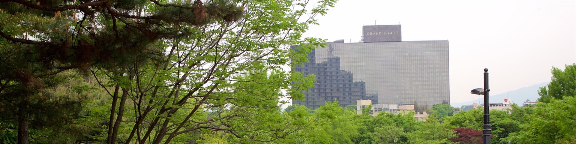 Botanischer Garten Namsan welches beinhaltet Park und Wildblumen sowie kleine Menschengruppe