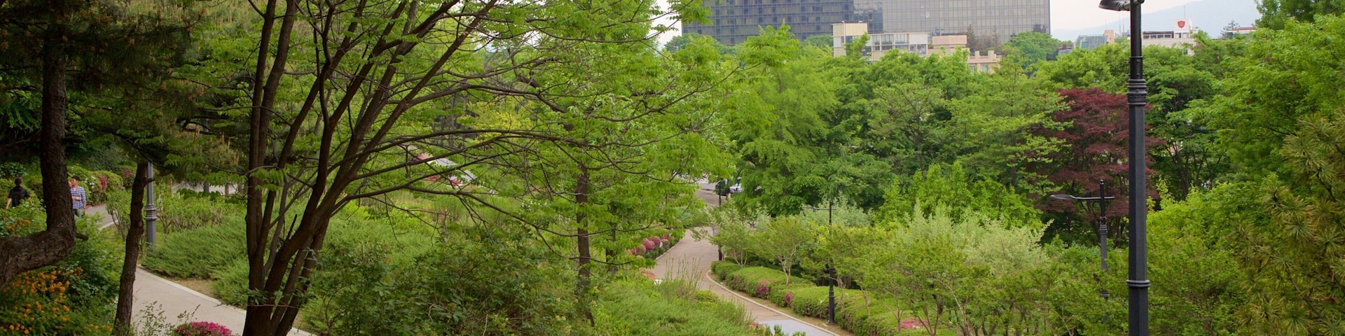 Namsan Botanical Garden showing wildflowers and a garden as well as a small group of people
