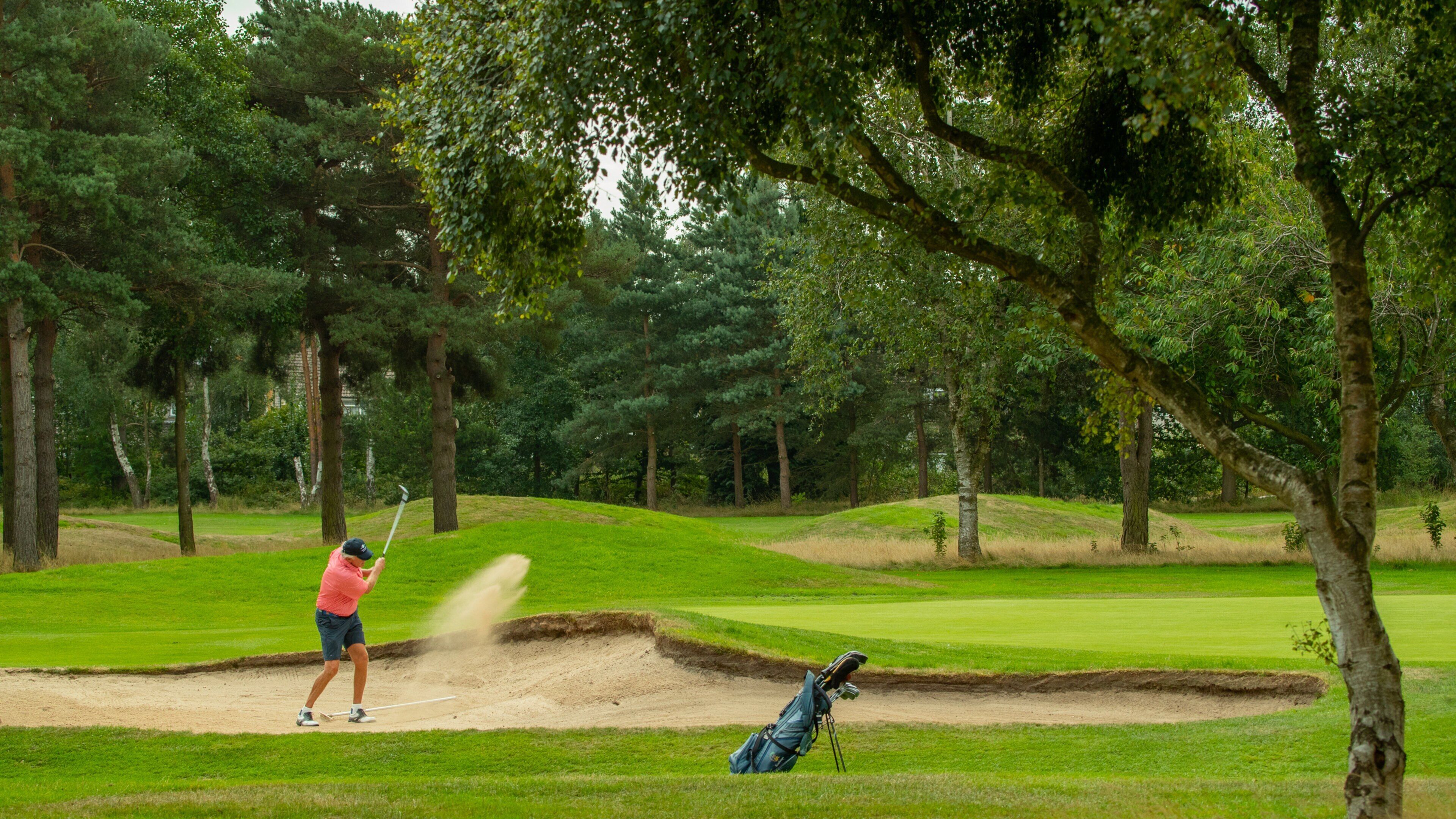 Um golfista em um campo verde, com um bunker de areia e árvores ao fundo.