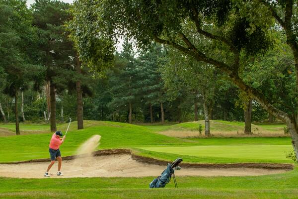 Ein Golfspieler auf einer Grünfläche mit einem Bunker und Bäumen im Hintergrund.