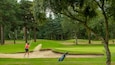 A golfer on a green with a sand bunker and trees in the background.