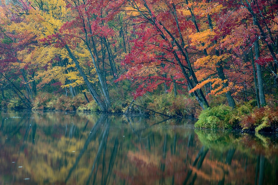 A calm lake surrounded by trees with autumn foliage.