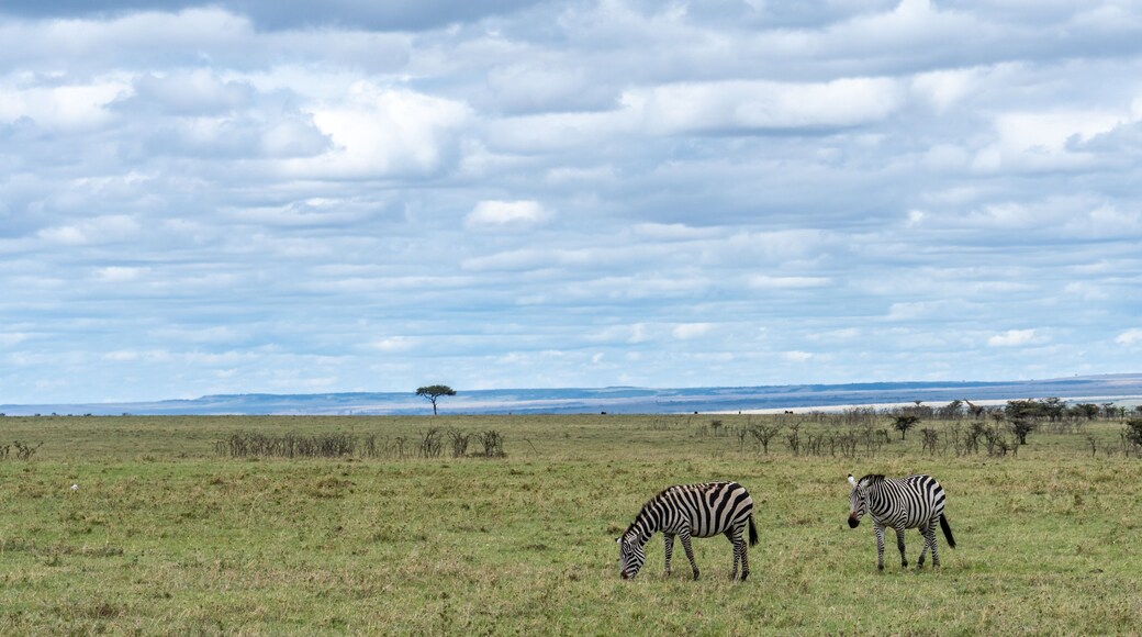 Olare Orok Conservancy
