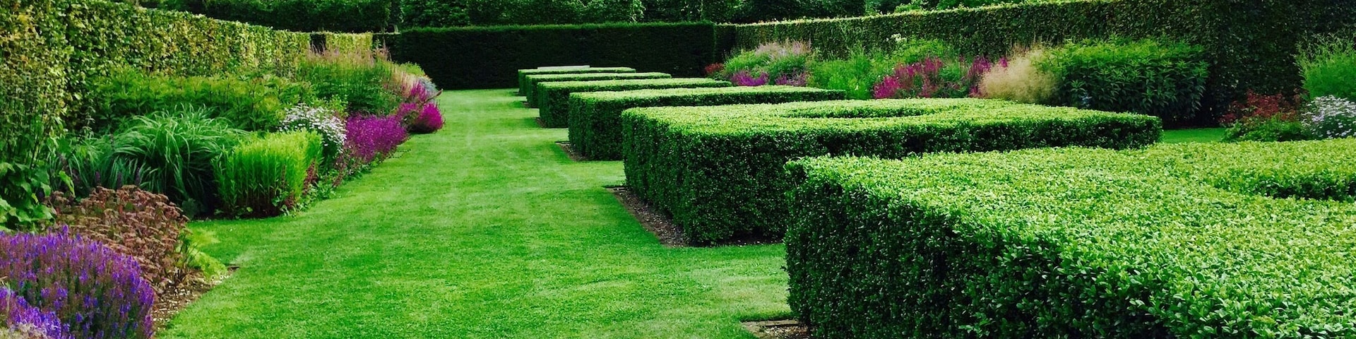 Spectacular planting and manicured box hedges.