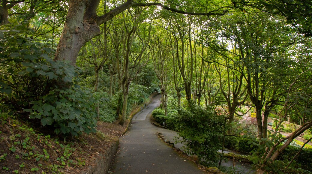 South Cliff Italian Gardens