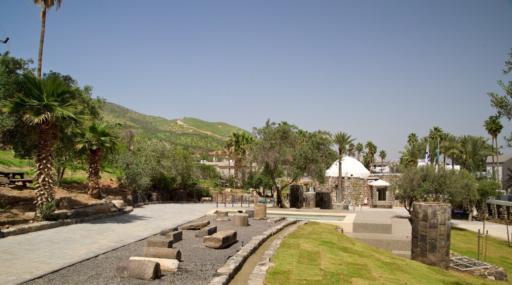 Hamat Tiberias National Park showing a park