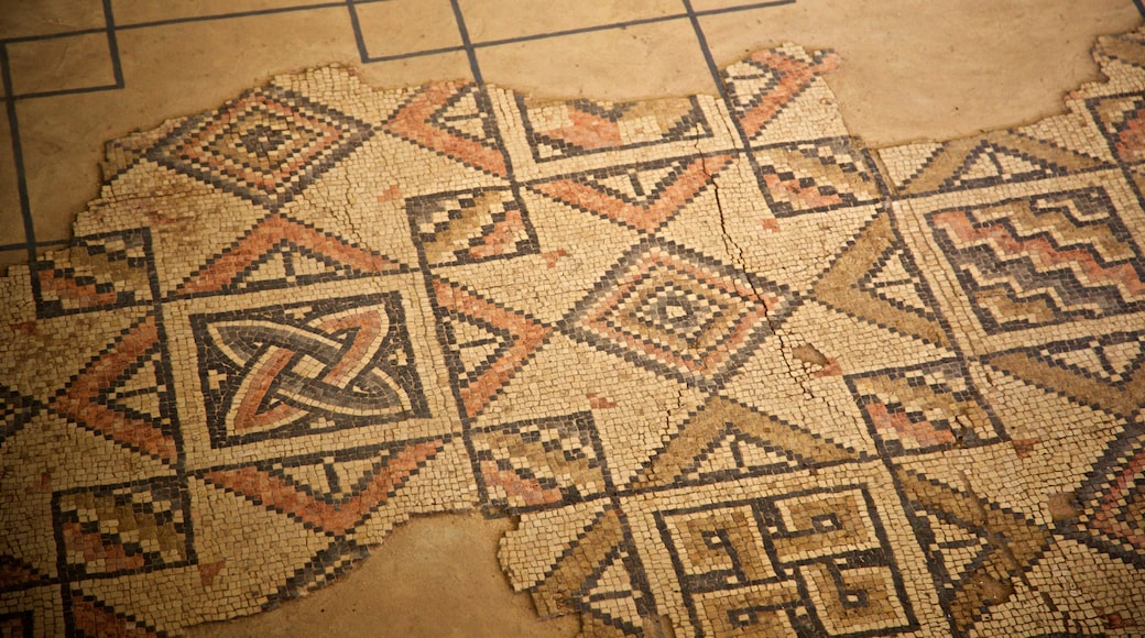 Hamat Tiberias National Park showing interior views and heritage elements