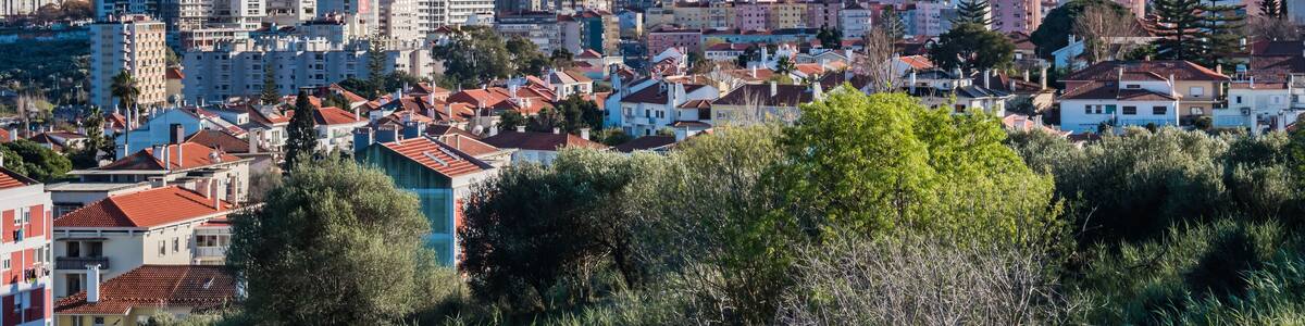 Tops of trees and branches of Bela Vista park with view to urban buildings in the parish of Alvalade and Areeiro, Lisbon PORTUGAL