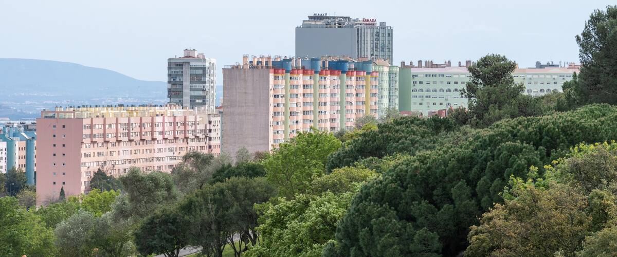 A park with trees and a road. In the background, there are several multi-story buildings.