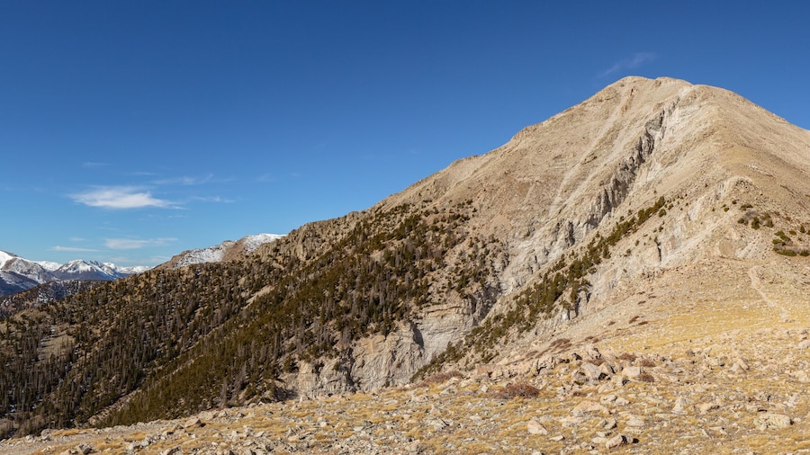 This mountain panorama features Tigger Peak under a deep blue sky, located in the Sawatch Range next to 14er Mt. Princeton.