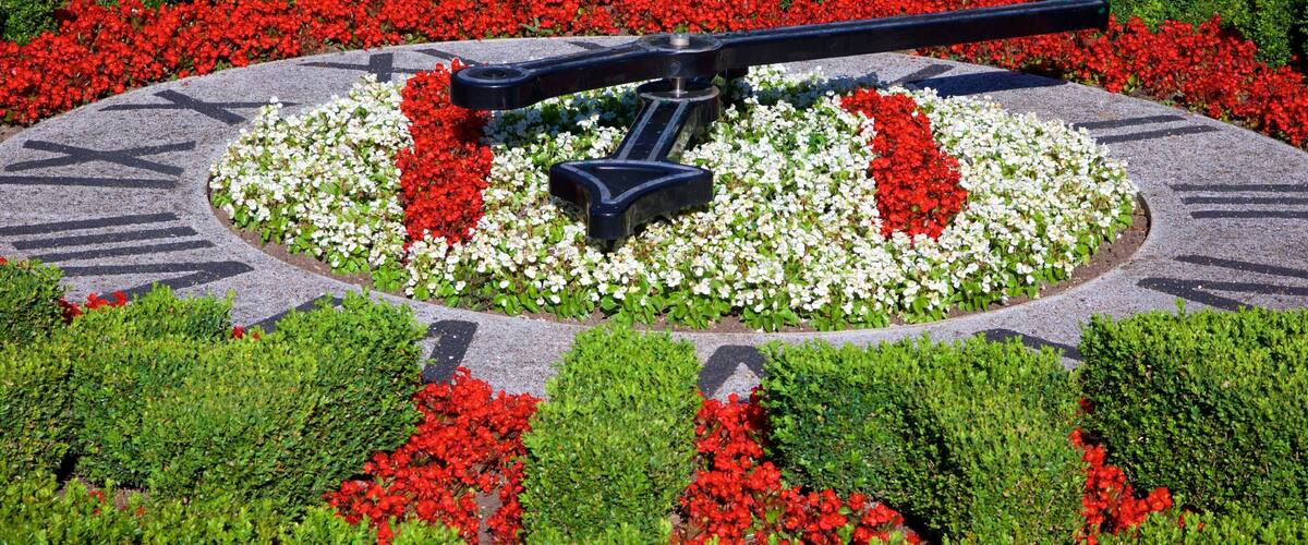 Pannett Park showing a park and flowers
