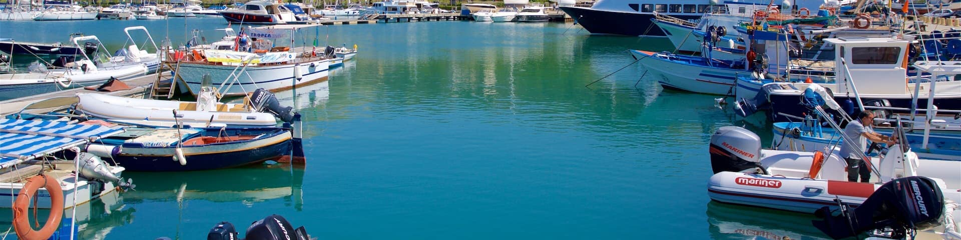 A marina with various boats docked, surrounded by hills and buildings.