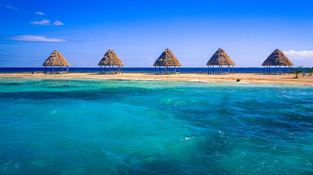 A row of thatched palapas on golden sand on the tiny island of Rendezvous Caye in the Belize Barrier Reef, off the coast of Belize, Central America