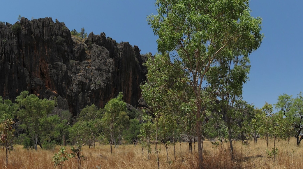 windjana gorge, gibb river, kimberley, western australia